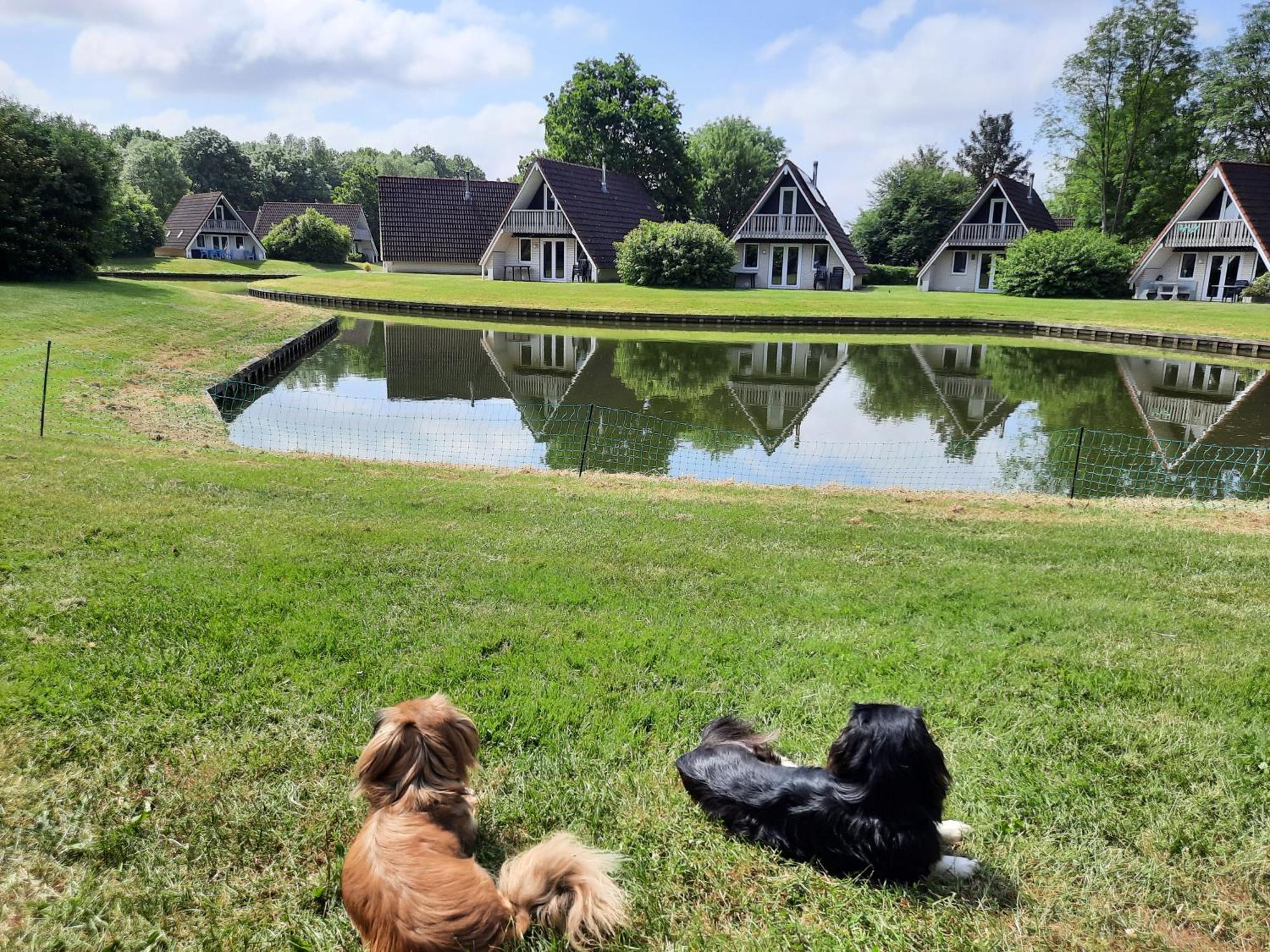 De Gouwe, 158 - Aan Visvijver, De Beste Visstek Gramsbergen Luaran gambar